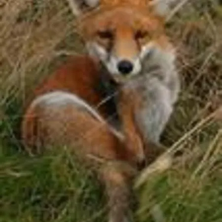 فندق مبيت وإفطار River Accomodation