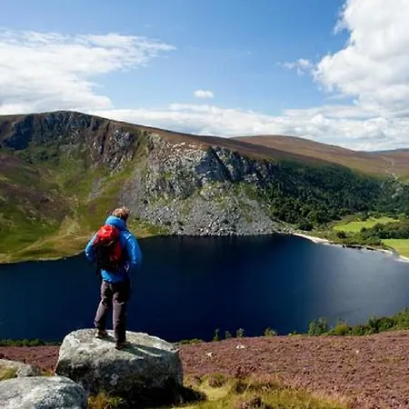 فندق مبيت وإفطار River Accomodation ويكلو