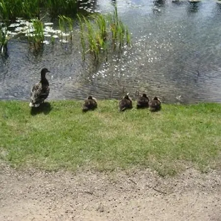 فندق مبيت وإفطار River Accomodation 3*