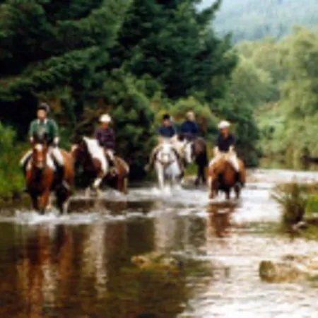 فندق مبيت وإفطار River Accomodation