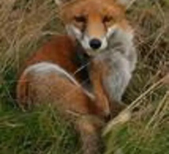 Bed and Breakfast River Accomodation