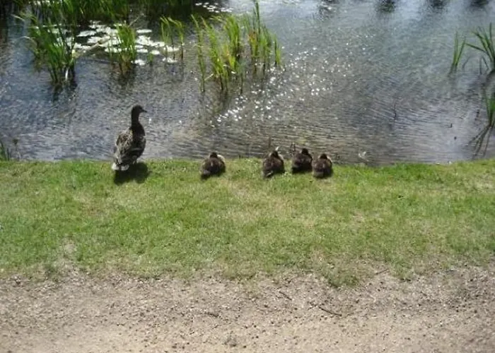 Bed and Breakfast River Accomodation 3*