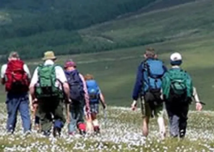 Bed and Breakfast River Accomodation Γουίκλοου