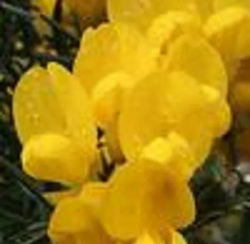 Bed and Breakfast River Accomodation 3*